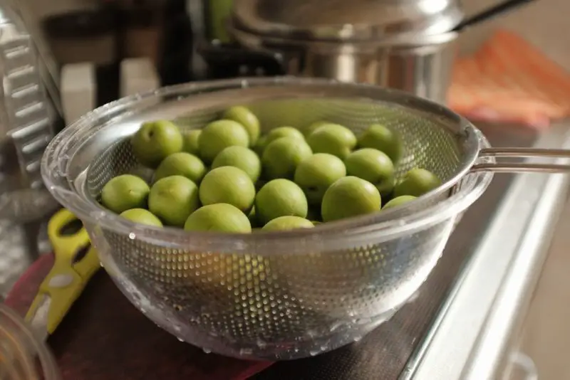 Green plums sitting in a bowl. They are wet after being washed.