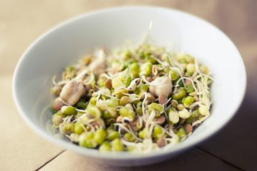 Soybean sprouts growing in a bowl