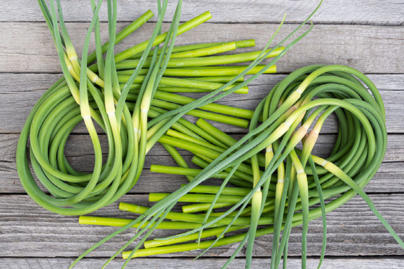 An overhead shot of garlic scapes on a wooden background. 