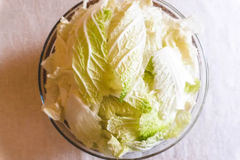 An overhead shot of cabbage sitting into a glass bowl.