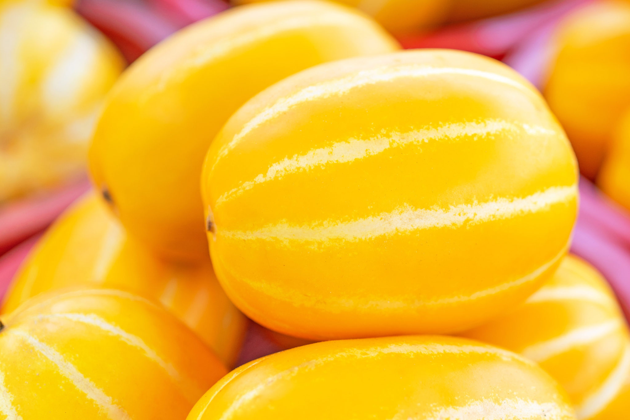 What Is a Korean Melon? (Chamoe) Carving A Journey