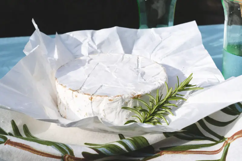 A side shot of a wheel of brie next to a sprig of rosemary.