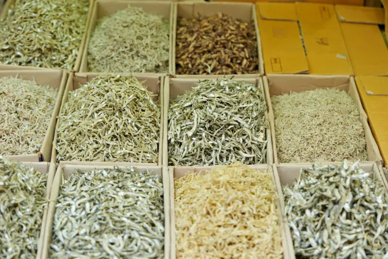 Anchovies of different sizes for sale exposed in boxes lined up.