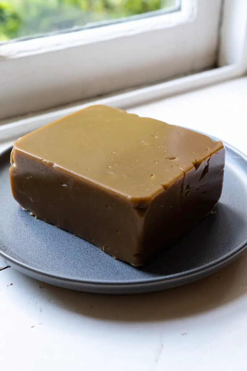 A side shot of Korean acorn jelly (dotorimuk) before it is sliced. It is sitting on a gray plate. 