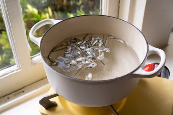 Cooking anchovy broth. The anchovies are boiling in a white pot over a yellow portable stove.