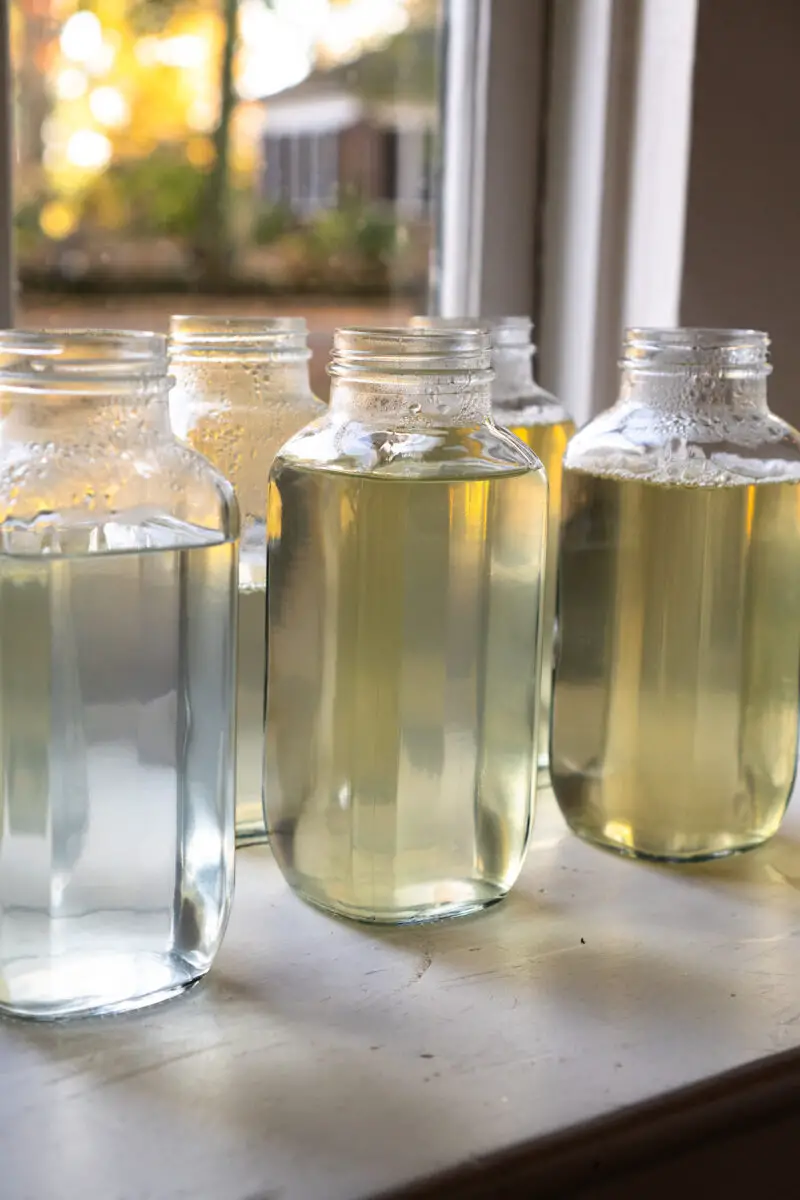 A side shot of three bottles of anchovy broth lined up. The broth has three different shades based on the ingredients. Dried kelp is used in the darker two broths. 