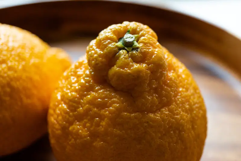 A closeupshot of Korean hallabong fruit. In this photo you can see the wrinkly skin and orange color. 