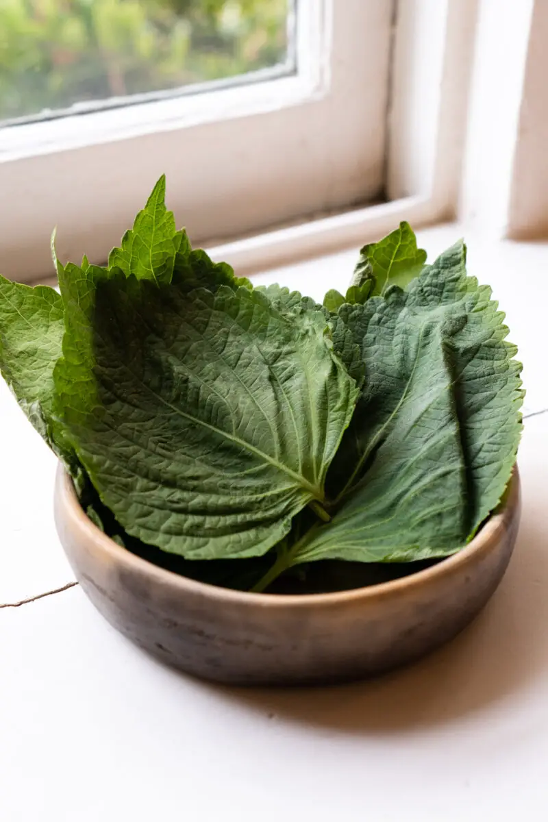 Perilla leaves in a dark bowl on a white window sill. 