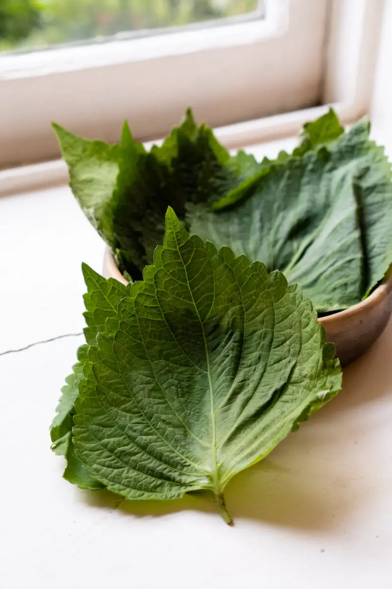 A side shot of perilla leaves on a white window sill. The leaves are leaning against a dark bowl.