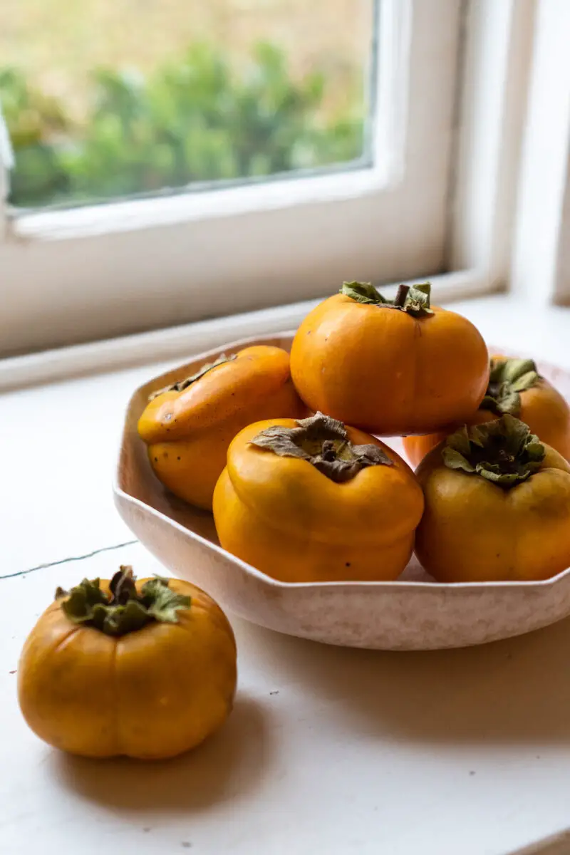 A side shot of a persimmon sitting next to a pink bowl of persimmons on a window sill.