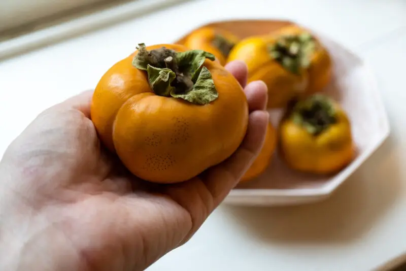 A photo of my hand. In my hand, I cup a Korean fruit known as 'gam.' Below, a pink bowl hold more of this fruit.