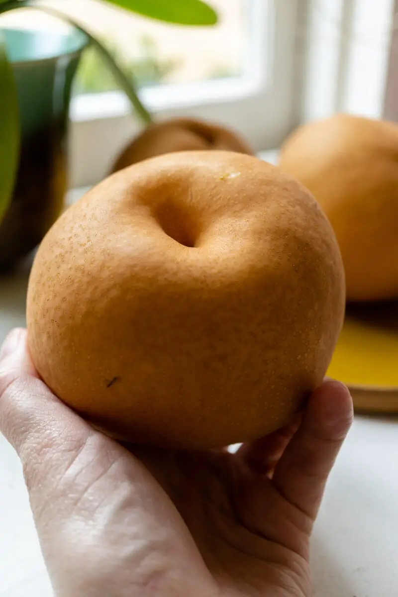 A closeup shot of a Korean pear. I am holding the pear in my hand. Two more pears sit in the background on a yellow tray. 