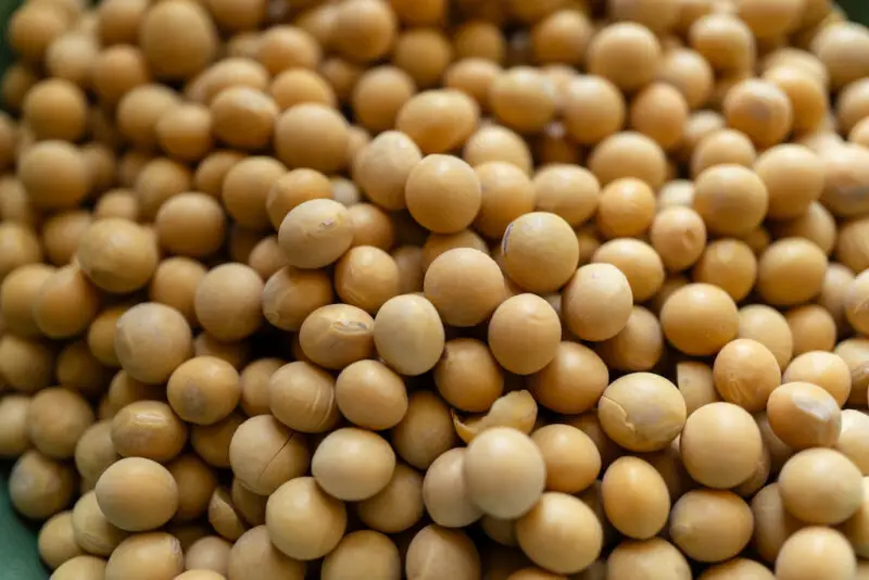 A closeup shot of dried mejukong.